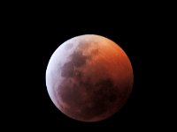 LU-2019-luna sangre-006 : eclipse lunar, luna